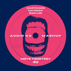 Move Your Feet 4U (Audio K9 Mashup)