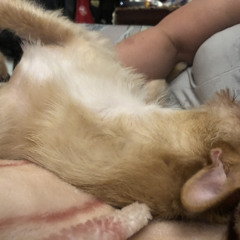 Higher Learning Voiceover Clip