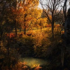 Je te laisserai des mots (live) (best part)