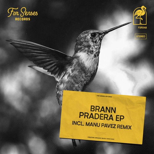 PREMIERE: Brann - Pradera (Original Mix) [ForSenses Records]