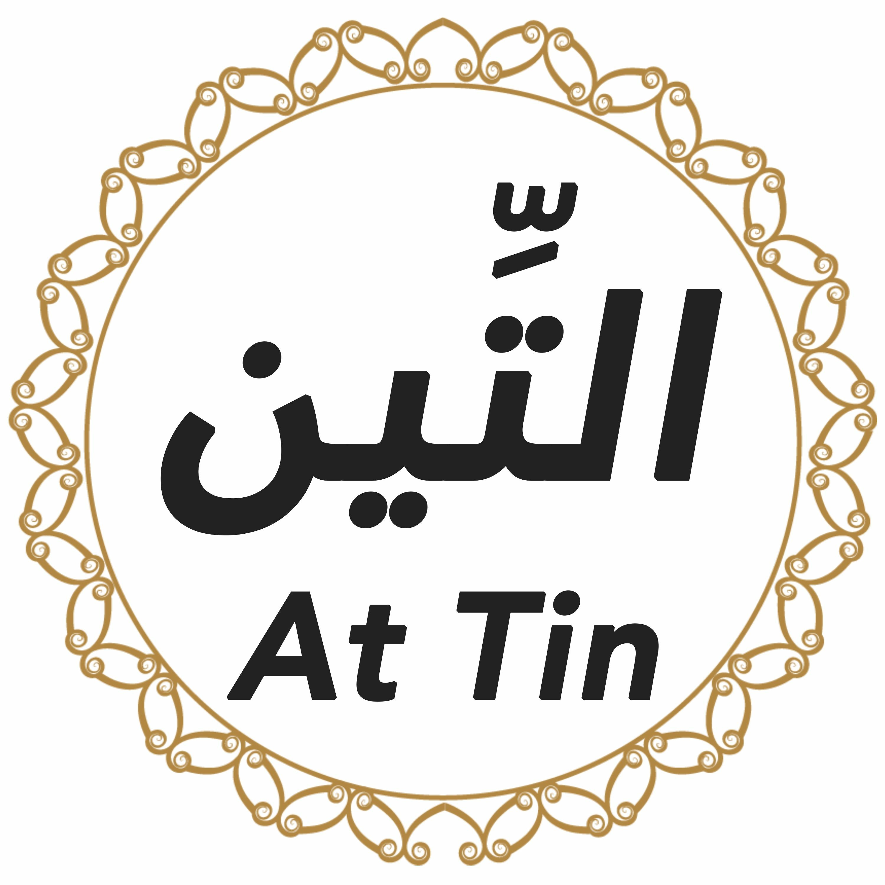 095 Surah Al Tin English - Voice Michael