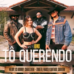 Melody, US Agroboy, Charles New - Tô Querendo (Zonatto, Marcelo Santiago, Saulkenn Remix)