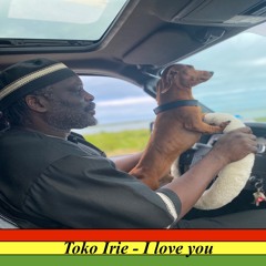 I LOVE YOU (TOKO IRIE)