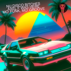 Mo' Funk, Mo' Groove (Extended Mix)