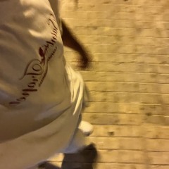 madriz under