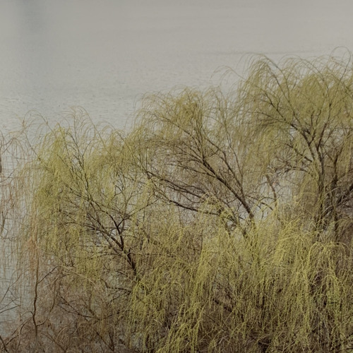 비움 (feat.홍예진)