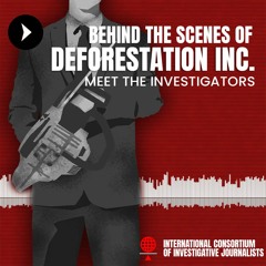 Meet the Investigators: Behind the scenes of Deforestation Inc.