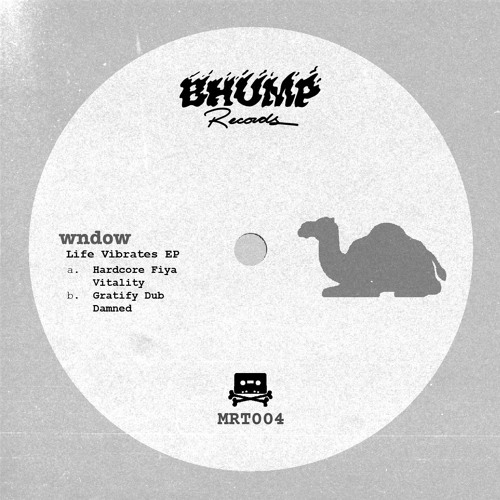 wndow - Life Vibrates EP (MRT004)