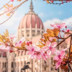 العيد يعني لازم نفرح "بدون موسيقى" 🥀 معاذ صلاح