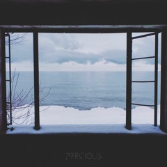 Nomyn & Veela - Precious
