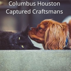 Captured Craftsmans