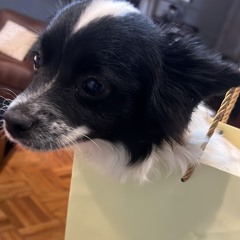 grinding to the top mix 3