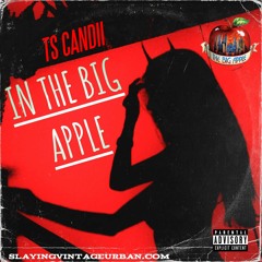 TS Candii - In The Big Apple