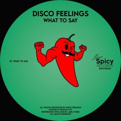 🕺🏾 Premiere🕺🏾 Disco Feelings - What To Say (Original Mix)