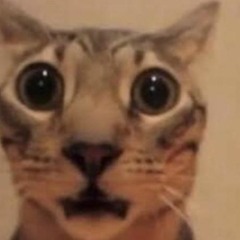 Assadist Pussy Got Me Actin Strange