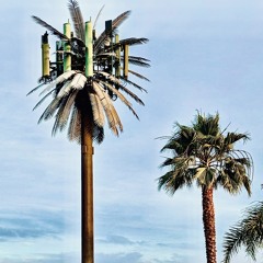 cooler/smoother [prod. YOUNG Y.G.]