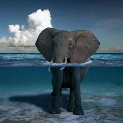 Journey into the Deep