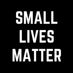 Small Lives Matter - Saint Mesus