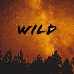 WILD (Ft. Henny Hermés)