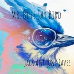 Mr. Blue Jay Bird