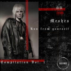 PREMIERE: Meshes - Run From Yourself (EGRC01)