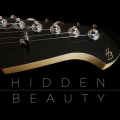 "Hidden Beauty" (original) electric fingerstyle