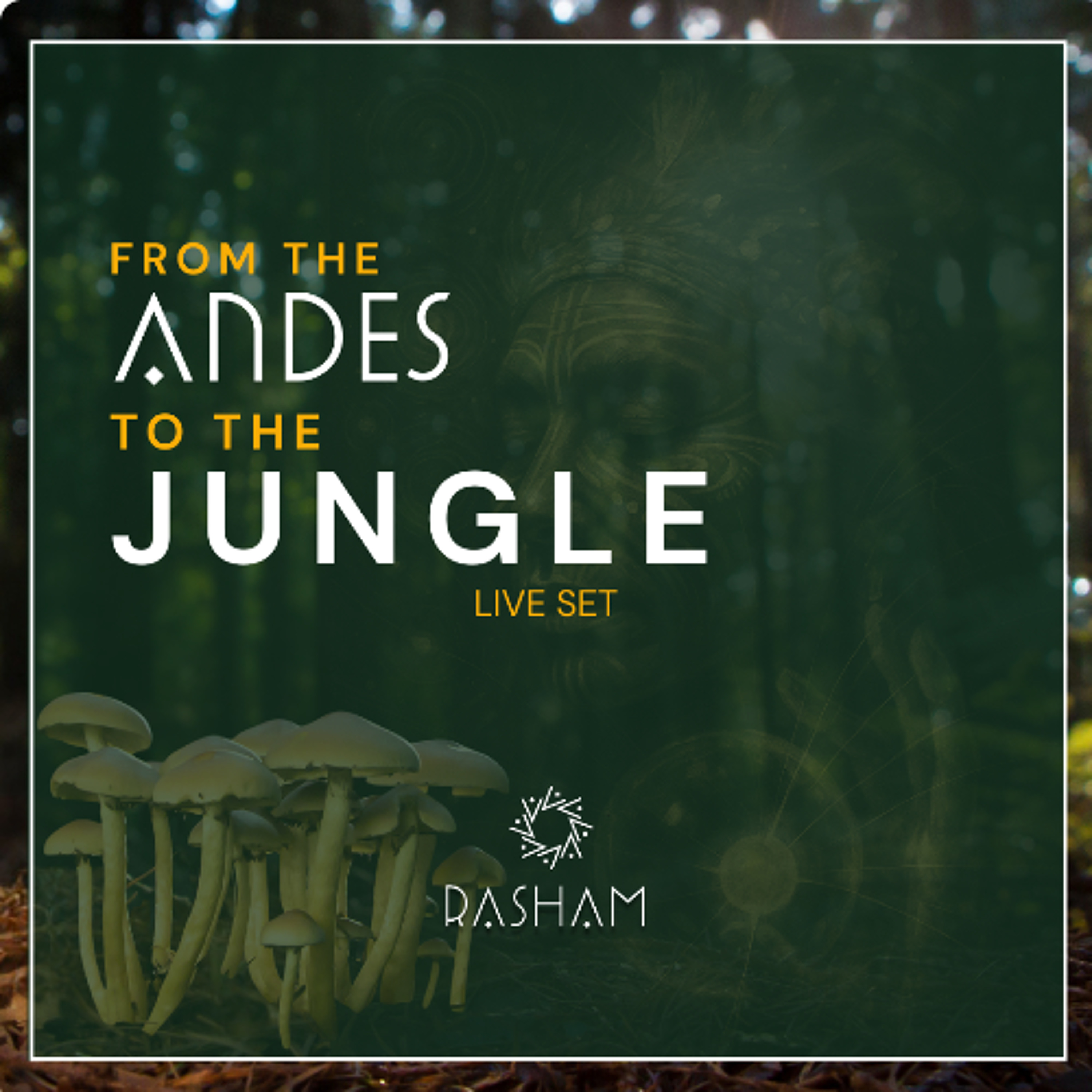 From the Andes to the Jungle episode artwork