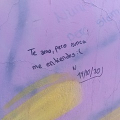 La propuesta