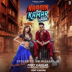 Naagin Jaisi Kamar Hila (Pagalworld.name)