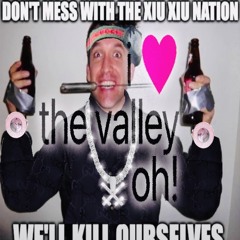 i luv the valley oh!