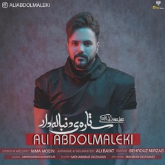 Setareye Donbaleh Dar - Ali Abdolmaleki ستاره‌ی دنباله دار - علی عبدالمالکی