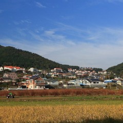 삼동면0