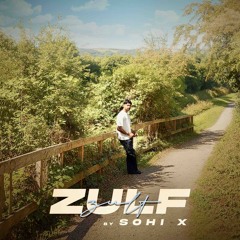 Zulf
