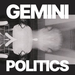 Gemini Politics