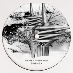 Andrey Pushkarev feat. SVETTI - November