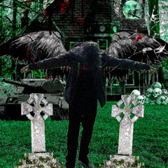 DEAD BIRDS(prod. afflictedwizard)