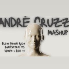 Bhaskar vs GESES - Slow Down Rich Sandstorm vs When I See It (André Cruzz Mashup)