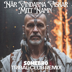 När vindarna viskar mitt namn (SOMEBRO tribal club bootleg)