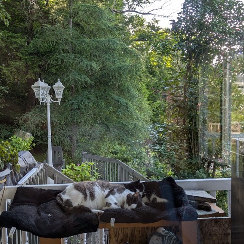 Slow Flow 2025 01 01