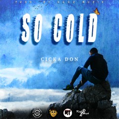 Cicka Don - So Cold (Official Audio)