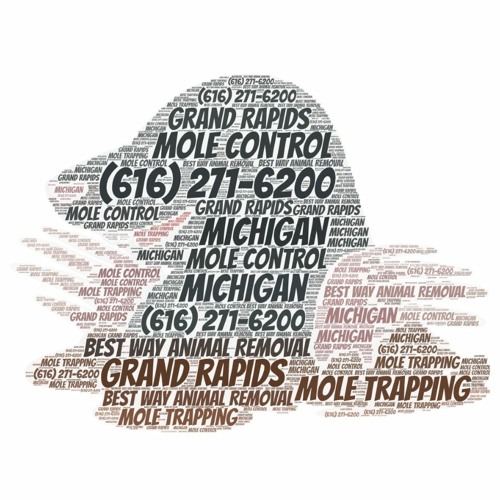 Stream Grand Rapids Mole Control - (616) 836-4255 - Best Way Animal Removal by Best Way Animal Removal | Listen online for free on SoundCloud