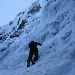 My dearest little lamb