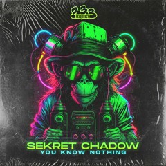 Sekret Chadow - You Know Nothing  ( Original Mix )