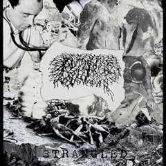 Spludge - Strangled (2025)