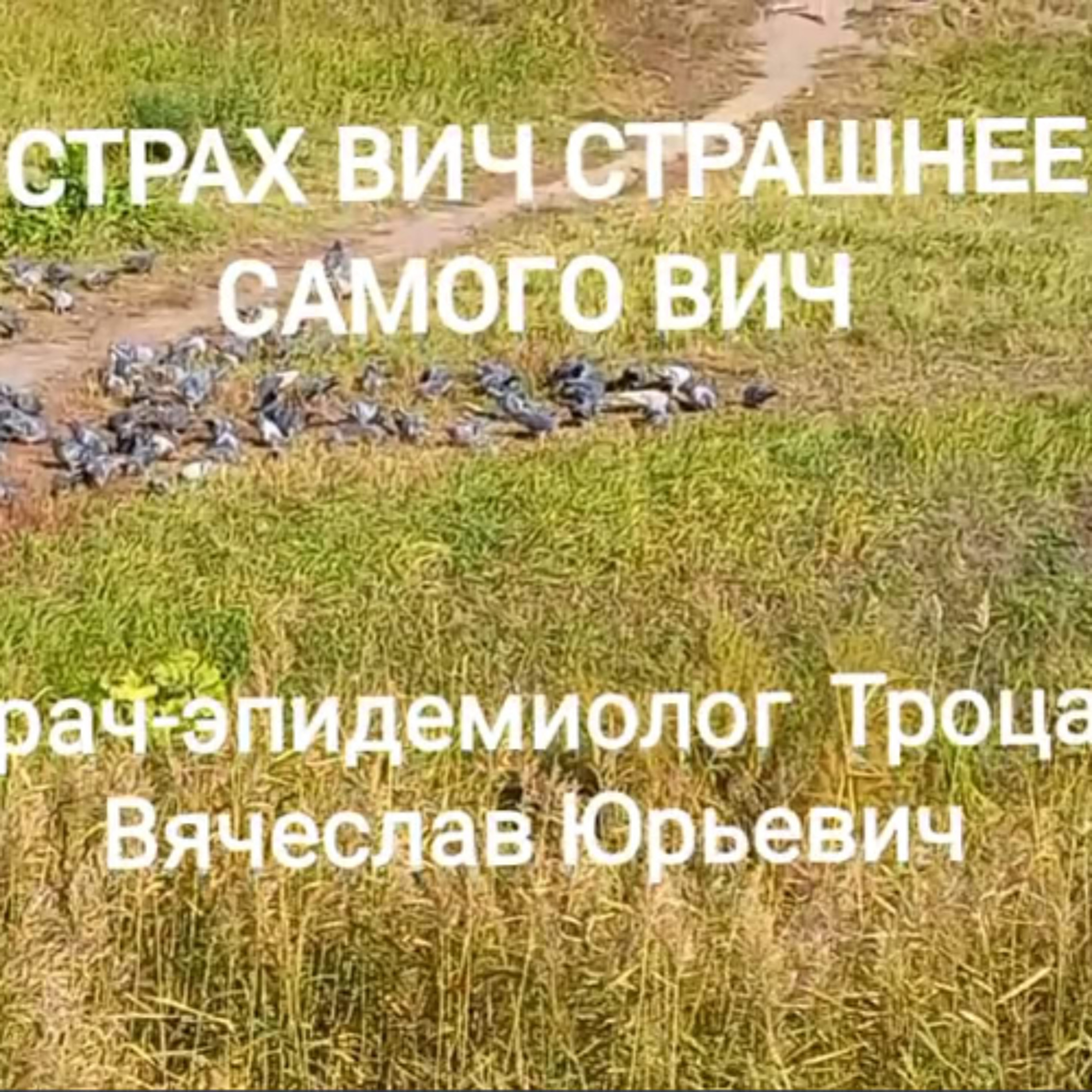 Причины активирующие страх ВИЧ episode artwork