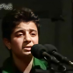 مرحوم محمد باقر علوی_وای امان از دل زینب.mp3