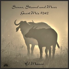 Sonne, Strand und Meer Guest Mix #242 by El Marco