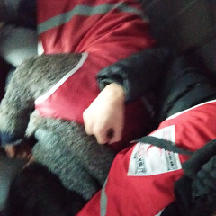 Gece Gece Ne İşimiz Var Burada
