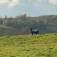 Ignorance - Vinyl Mix