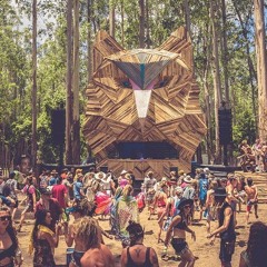 bush prog